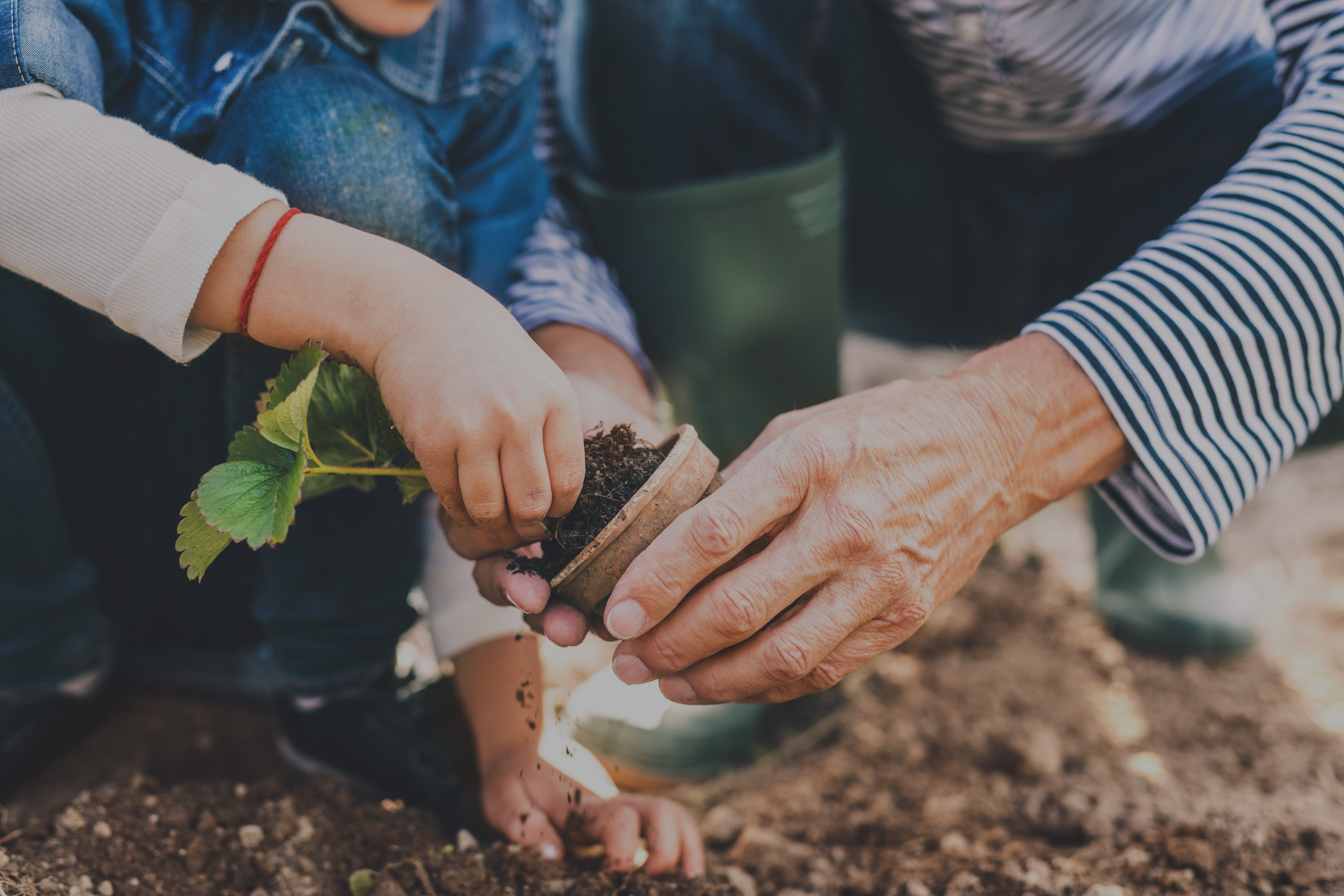 Choosing senior living can feel overwhelming with plenty of practical and emotional questions. Olympus helps individuals and families move through these questions with honesty and support.-01